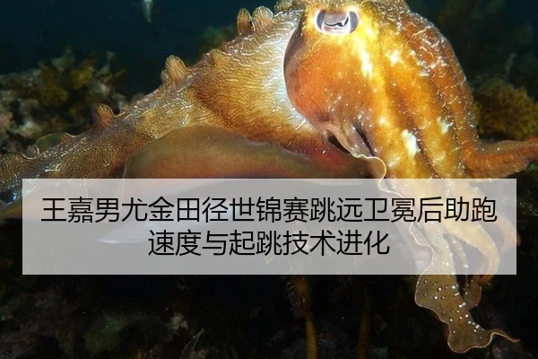 王嘉男尤金田径世锦赛跳远卫冕后助跑速度与起跳技术进化